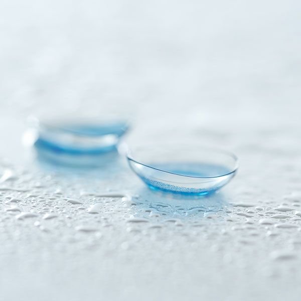 Lentilles journalières